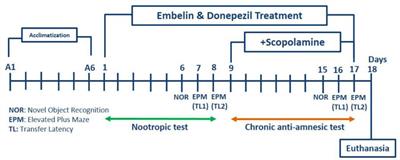 Amelioration of Cognitive Deficit by Embelin in a Scopolamine-Induced Alzheimer’s Disease-Like Condition in a Rat Model